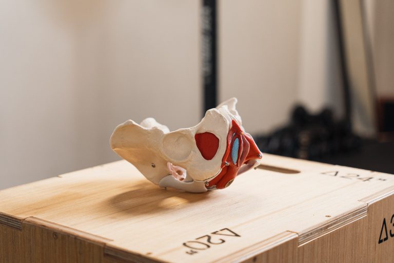 lantionpohjan fysioterapia helsinki